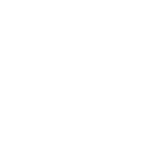 شرکت ارسلان تجارت نیک رو
